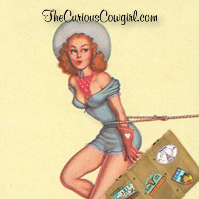 The Curious Cowgirl Blog