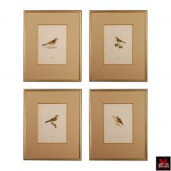 Collection of Antique Chromolithograph Bird Prints