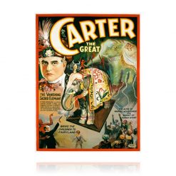 Carter The Great Vanishing Elephant