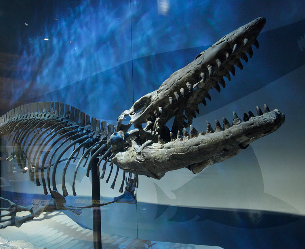Perot Museum of Nature and Science