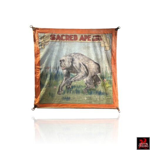 This is a hand-painted 1940s circus sideshow banner advertising a 'Sacred Ape from India,' a genuine piece of vintage Americana used to attract visitors to carnival midways.
