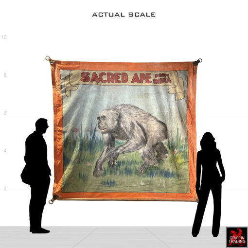 This is a hand-painted 1940s circus sideshow banner advertising a 'Sacred Ape from India,' a genuine piece of vintage Americana used to attract visitors to carnival midways.