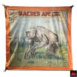 This is a hand-painted 1940s circus sideshow banner advertising a 'Sacred Ape from India,' a genuine piece of vintage Americana used to attract visitors to carnival midways.