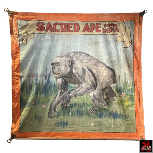 This is a hand-painted 1940s circus sideshow banner advertising a 'Sacred Ape from India,' a genuine piece of vintage Americana used to attract visitors to carnival midways.