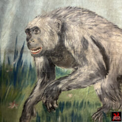 This is a hand-painted 1940s circus sideshow banner advertising a 'Sacred Ape from India,' a genuine piece of vintage Americana used to attract visitors to carnival midways.