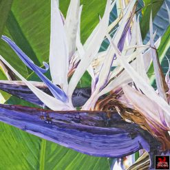 Bird Of Paradise Painting by Lisa Tennant
