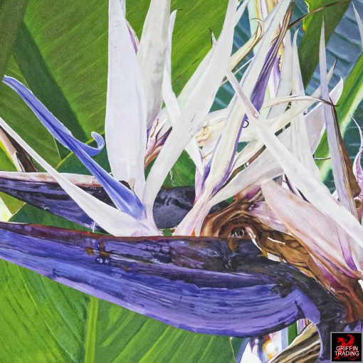 Bird Of Paradise Painting by Lisa Tennant