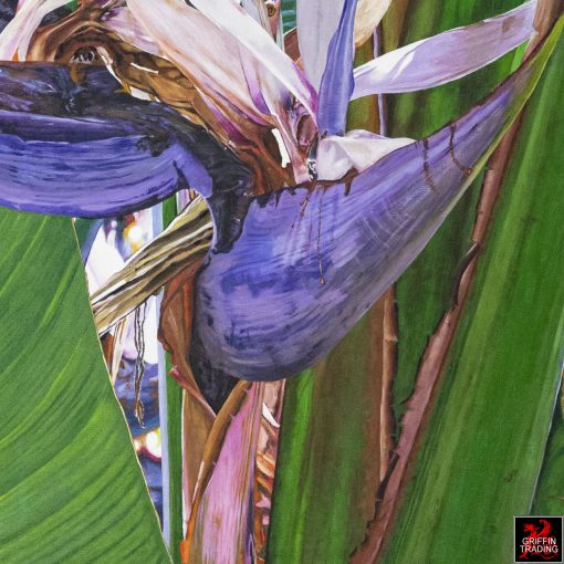 Bird Of Paradise Painting by Lisa Tennant